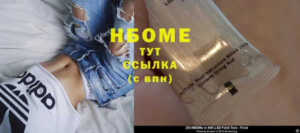 шишки Алзамай